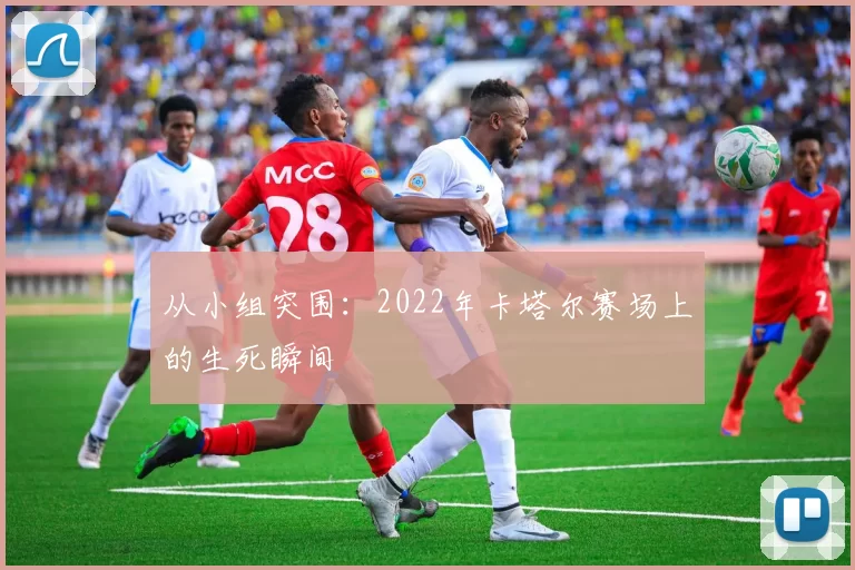 从小组突围:2022年卡塔尔赛场上的生死瞬间