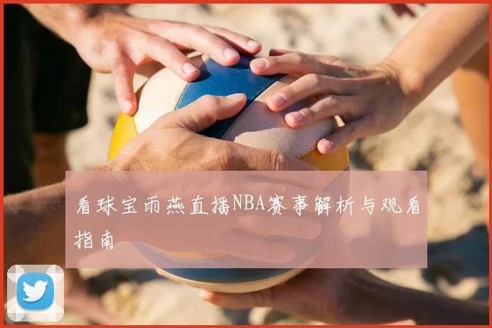 看球宝雨燕直播NBA赛事解析与观看指南