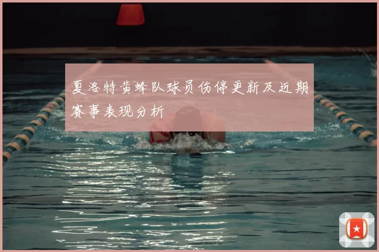 夏洛特黄蜂队球员伤停更新及近期赛事表现分析