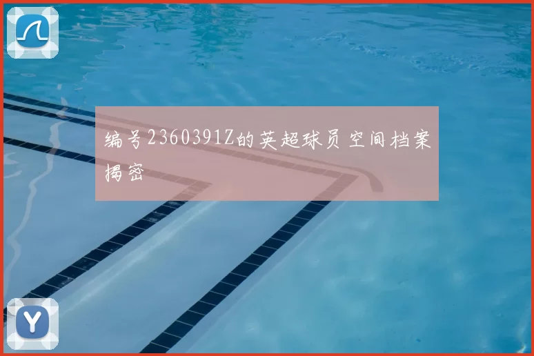 编号2360391Z的英超球员空间档案揭密