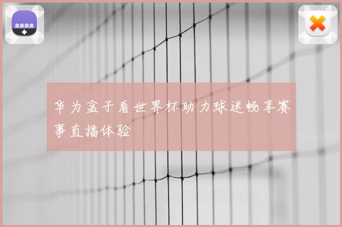 华为盒子看世界杯助力球迷畅享赛事直播体验
