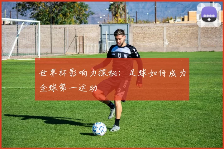 世界杯影响力探秘：足球如何成为全球第一运动