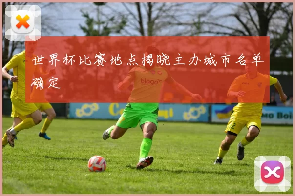 世界杯比赛地点揭晓主办城市名单确定