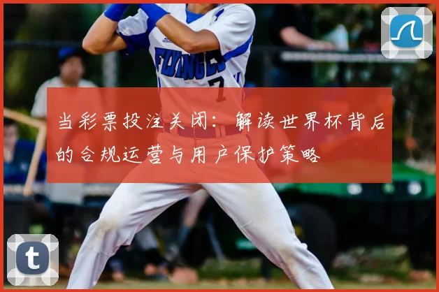 当彩票投注关闭：解读世界杯背后的合规运营与用户保护策略