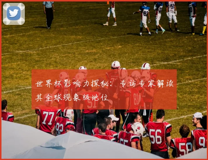 世界杯影响力探秘:专访专家解读其全球现象级地位