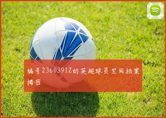 编号2360391Z的英超球员空间档案揭密
