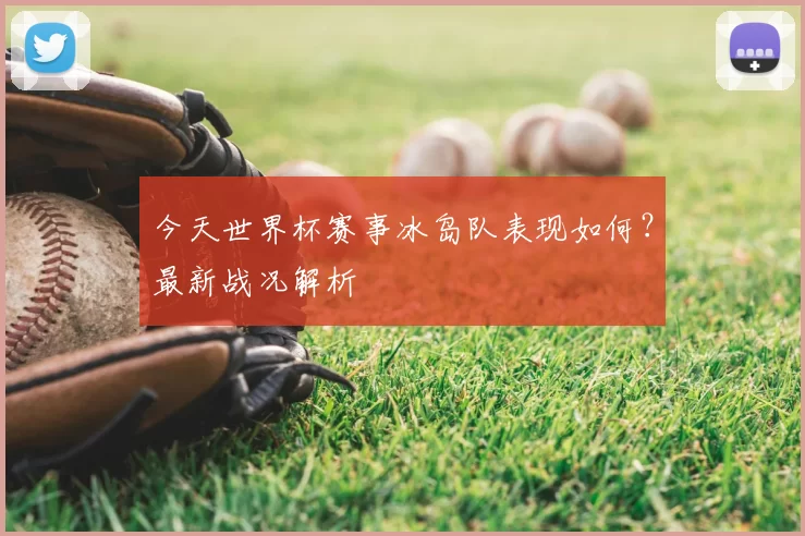 今天世界杯赛事冰岛队表现如何?最新战况解析