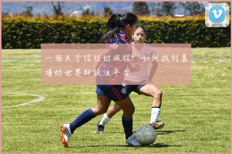 一场关于信任的旅程：如何找到靠谱的世界杯投注平台