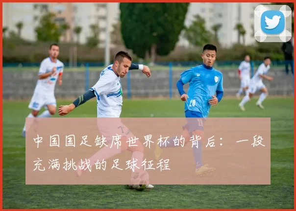 中国国足缺席世界杯的背后:一段充满挑战的足球征程