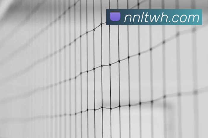 星空体育APP 封面图